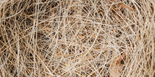 ¿Y ahora qué?: El síndrome del nido vacío