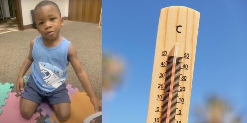 Niño muere encerrado en auto bajo custodia del gobierno en Estados Unidos