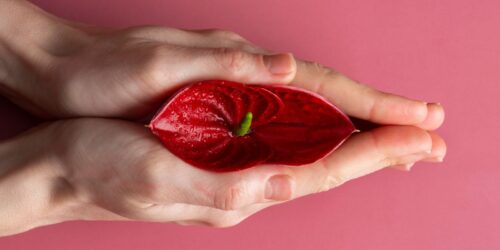 Infección vaginal en el embarazo.. ¿Qué debes hacer?