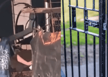 Madre encierra a su hija con discapacidad en una jaula