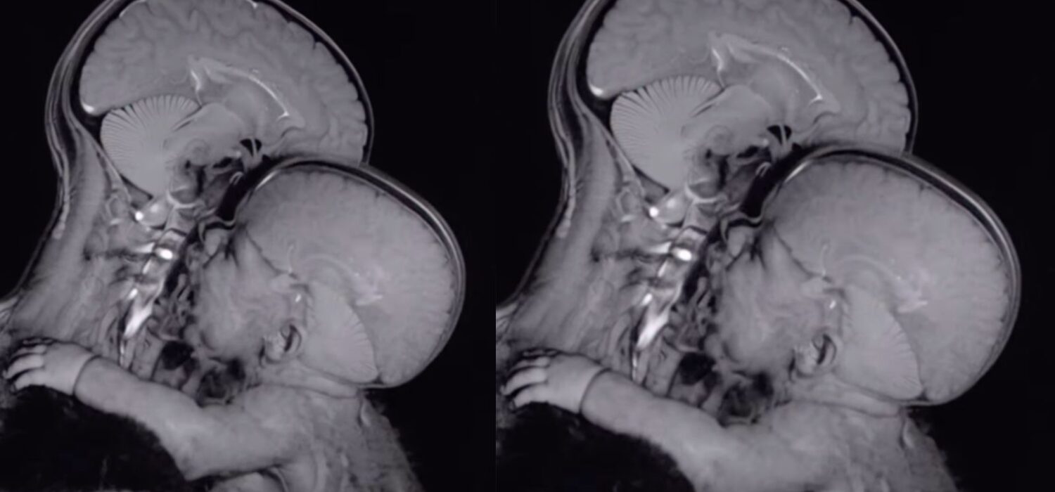 palabras clave en el proceso de crianza