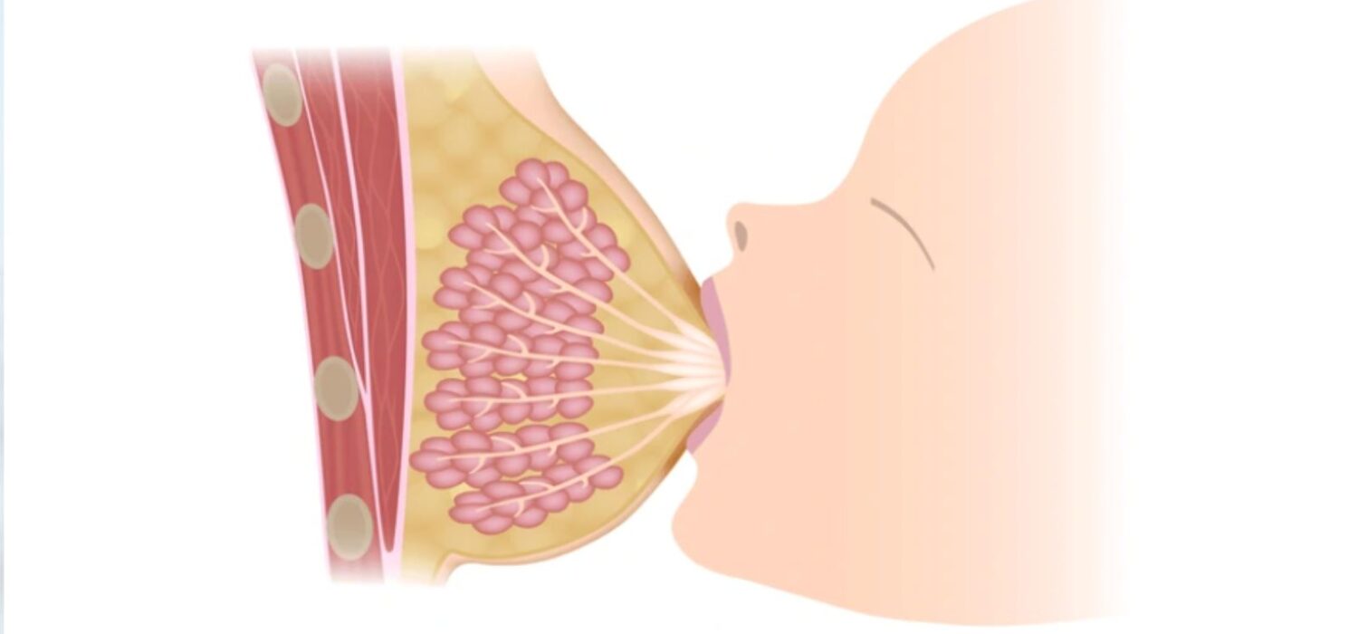 La leche materna cambia según las necesidades de tu bebé