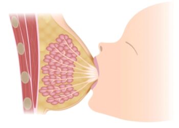 La leche de tu bebé no solo lo alimenta, lo escucha