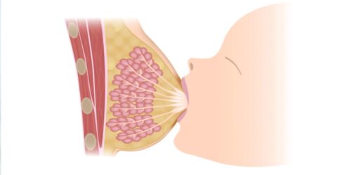 La leche de tu bebé no solo lo alimenta, lo escucha
