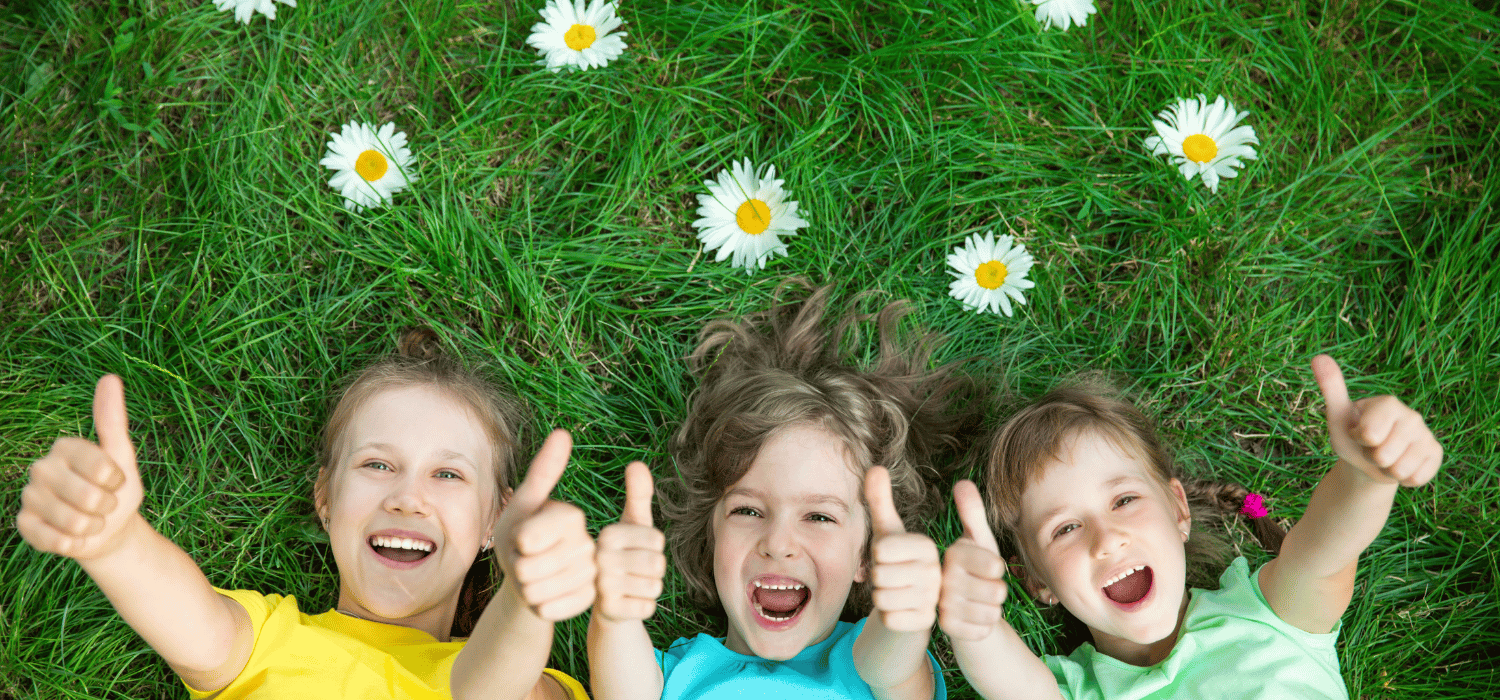 Construcción de la confianza