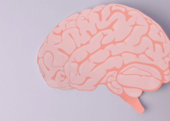 El impacto de un segundo embarazo en el cerebro de la mujer