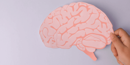 El impacto de un segundo embarazo en el cerebro de la mujer