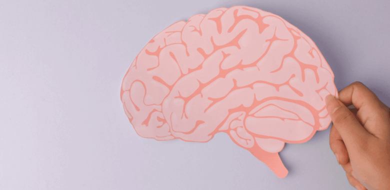 El impacto de un segundo embarazo en el cerebro de la mujer