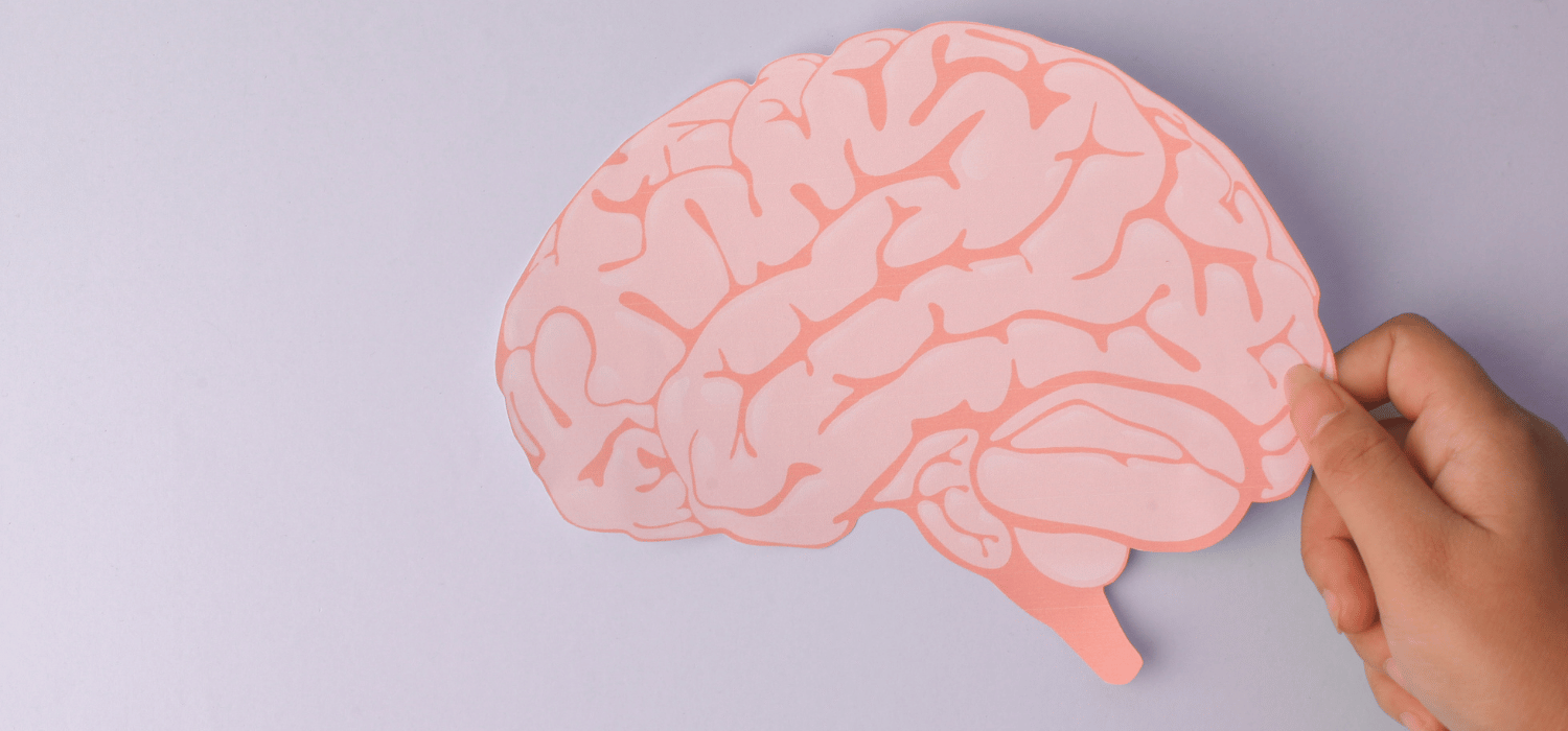 Impacto del nacimiento del segundo hijo en el cerebro