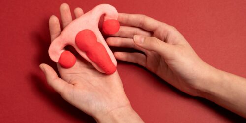 Atrofia vulvovaginal durante la lactancia