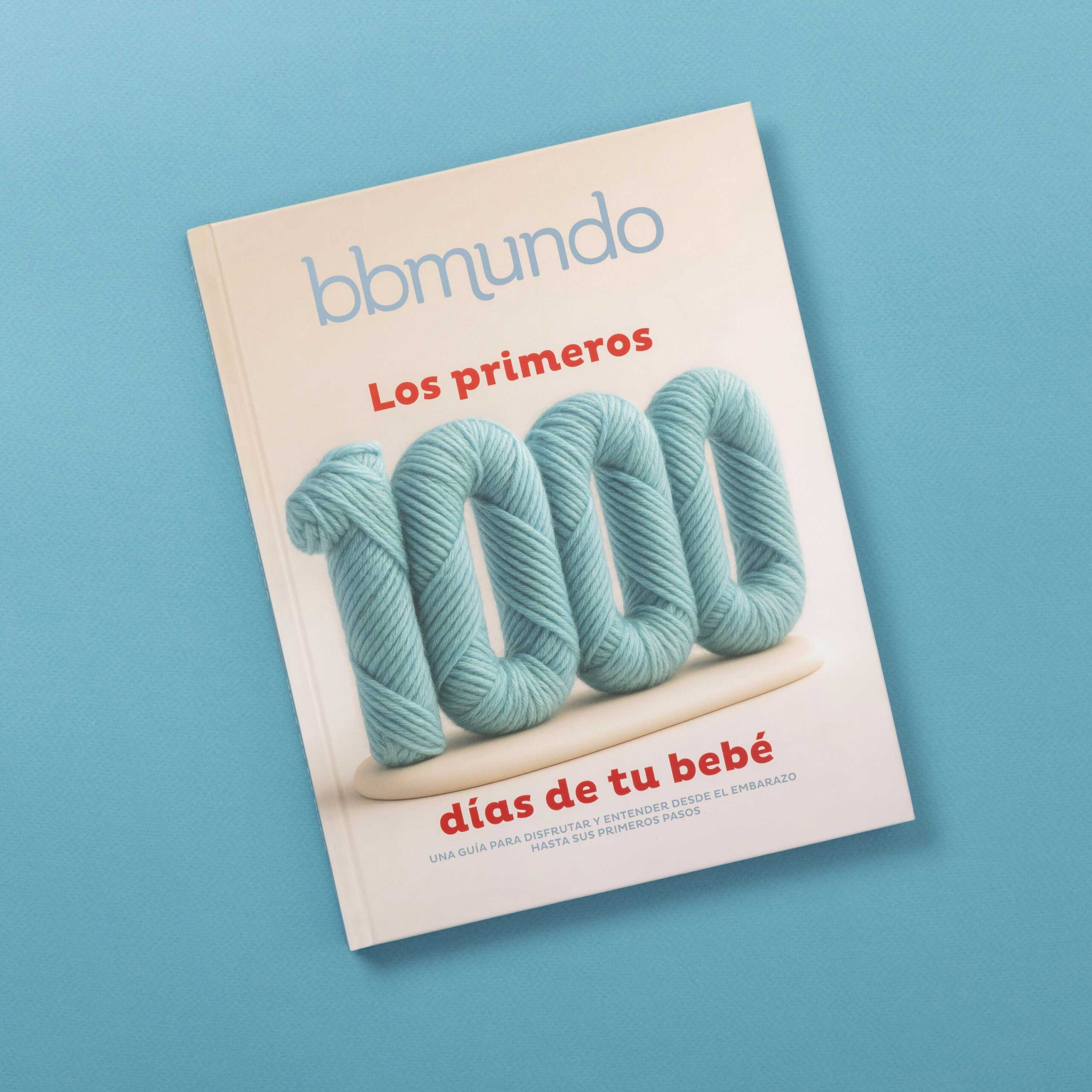 Galeria libro Bbmundo