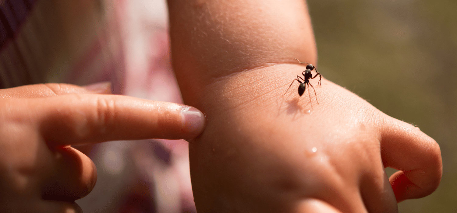 Picadura de insectos en vacaciones