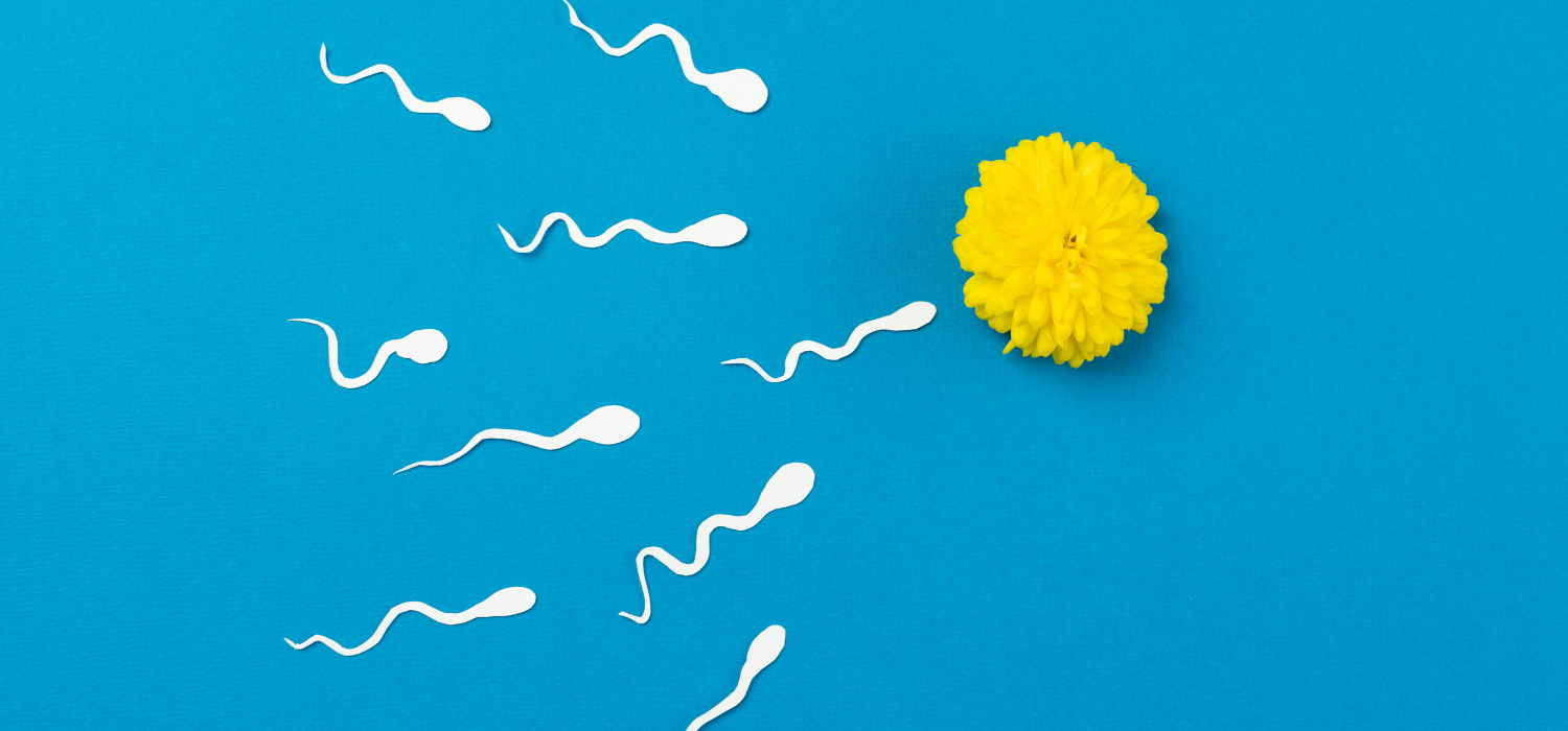 Fertilidad masculina