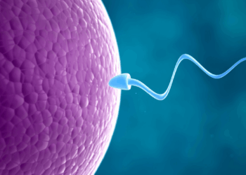 ¿Eyacular con frecuencia mejora el esperma? Esto dice la ciencia