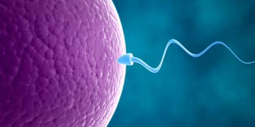 ¿Eyacular con frecuencia mejora el esperma? Esto dice la ciencia