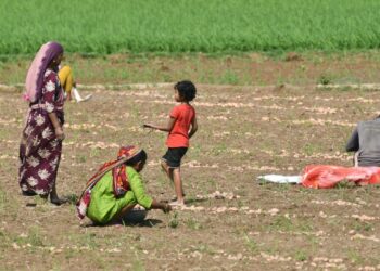 Infancia en pausa: así impacta el trabajo infantil en México