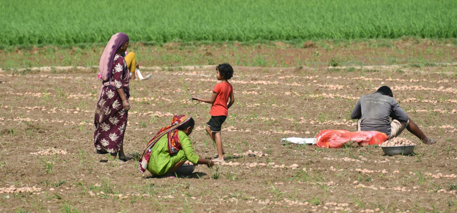 trabajo infantil en mexico