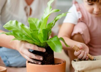 Cómo lograr una crianza sustentable y libre de plásticos