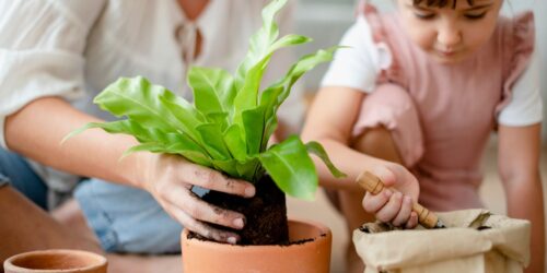 Cómo lograr una crianza sustentable y libre de plásticos