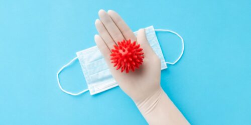 ¿Por qué el hantavirus preocupa cuando hay bebés en casa?