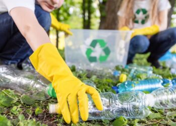 Día Mundial del Reciclaje: cómo enseñar a niños sin aburrirlos