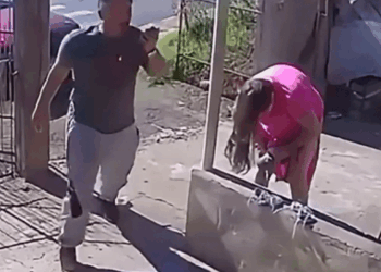 Creía que le faltaban dos semanas: Bebé nace en la cochera de su casa