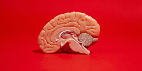 Cada embarazo cambia tu cerebro de una manera diferente