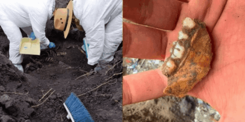1,600 dientes de leche fueron encontrados en Michoacán por las madres buscadoras