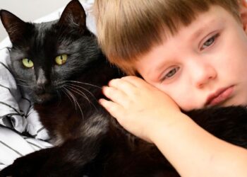 ¿Tu hijo es un CatLover? Checa los riesgos de los gatos domésticos que «salen a cazar»