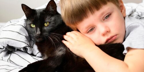 ¿Tu hijo es un CatLover? Checa los riesgos de los gatos domésticos que «salen a cazar»