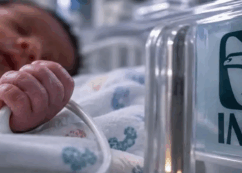 Mueren 5 bebés en Cuidados Intensivos Neonatales en Durango