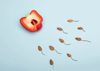 Alimentos para mejorar la fertilidad: Lo que deben comer en pareja para buscar un bebé