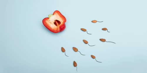 Alimentos para mejorar la fertilidad: Lo que deben comer en pareja para buscar un bebé