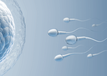 Científicos descubren un nuevo anticonceptivo para hombres sin hormonas
