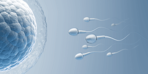 Científicos descubren un nuevo anticonceptivo para hombres sin hormonas