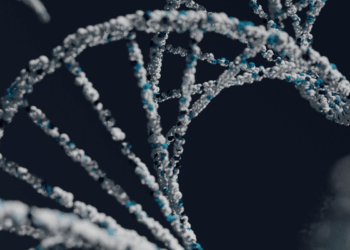 ¿El ADN de un bebé in vitro cambia? Esto dice la ciencia