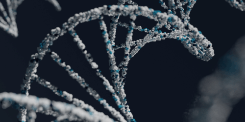 ¿El ADN de un bebé in vitro cambia? Esto dice la ciencia